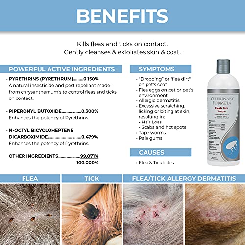 Veterinary Formula Flea and Tick Shampoo for Dogs and Cats, 16 oz Dog