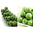 100+ Long Island Improved Brussel Sprouts Seeds Heirloom Non-GMO, Delicious from USA