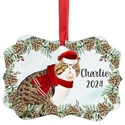 Tabby Exotic Shorthair Cat Christmas Ornament 2024
