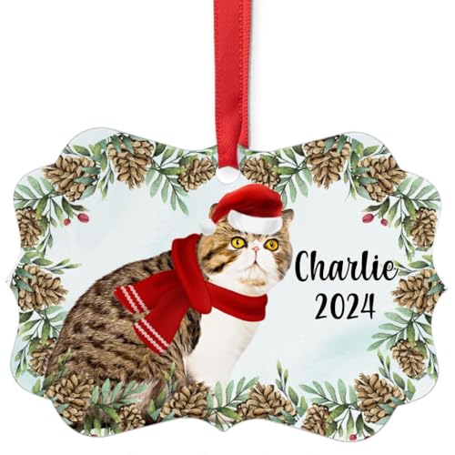 Tabby Exotic Shorthair Cat Christmas Ornament 2024