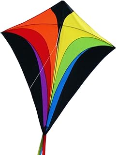 CIM Großer Kinder-Drachen - SUPER-Drachen Eddy XL Rainbow - Einleiner Flugdrachen für Kinder ab 6 Jahren - 90x100cm - inkl. Drachenschnur und Streifenschwänze