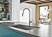 Danze D453558SS Parma Single Handle Pull-Down Kitchen Faucet with SnapBack Retraction, Stainless Steel