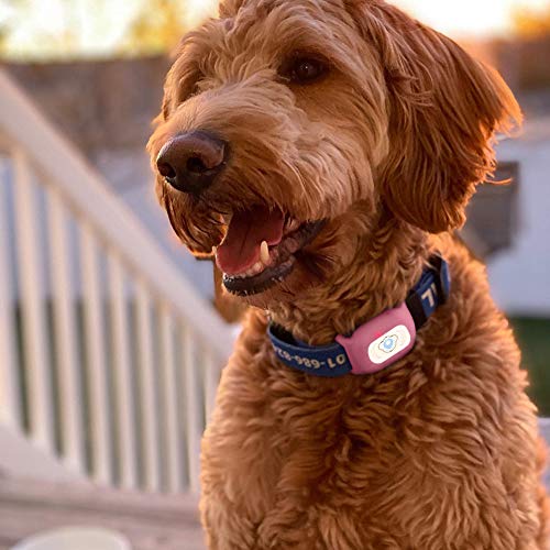 BARTUN GPS Pet Tracker, Cat Dog Tracking Device with Unlimited Range ï¼ˆPinkï¼‰
