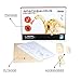 Lychee 3D Educational Gift Wooden Sound Control Dynamic Dinosaur Jigsaw Puzzle, DIY Assemble Dinosaur Robot Wood craft Toy Kit For Age 8+ Boy&Girls (Aptosaurus)
