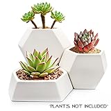 Modern Ceramic Geometric Planter ( 3 Pack-White) Hexagon Succulent Plant Pot/Cactus Flower Pot/Container