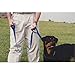 Grrrip The Two Handled Dog Leash - 1