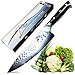 Zelite Infinity Damascus Chef Knife 8 Inch, Chefs Knife, Japanese Chef Knife, Japanese Knife, Kitchen Knife - Japanese AUS-10 Super Steel 67-Layer Damascus Knife - Razor Sharp Knife - Tsuchime Finish