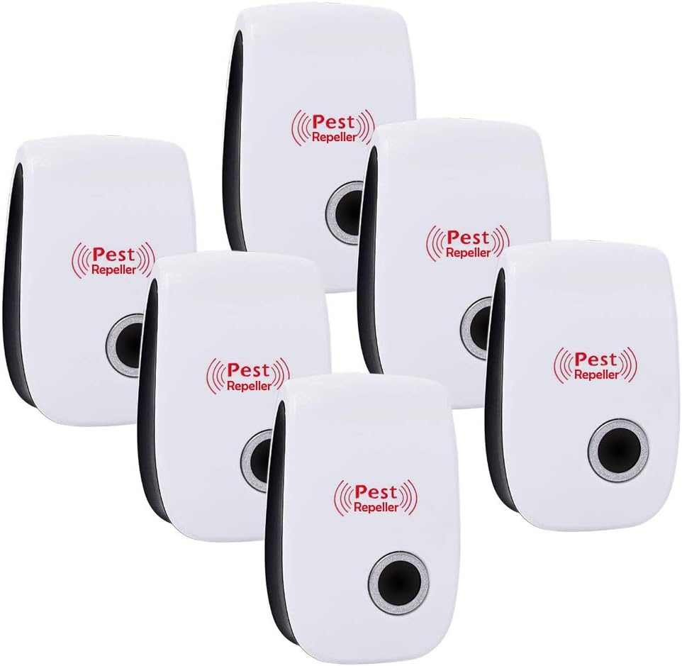 Best Get Rid Of Smells In Carpet