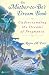 The Mother-to-Be's Dream Book: Understanding the Dreams of Pregnancy by Raïna Paris