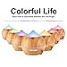 Flowmist Aromatherapy Essential Oil Diffuser, 250ml Ultrasonic Diffuser for Essential Oils, Cool Mist Aroma Diffuser Humidifier, Waterless Auto Shut-Off, 7 Colored LED Lights, Adjustable Mist Mode
