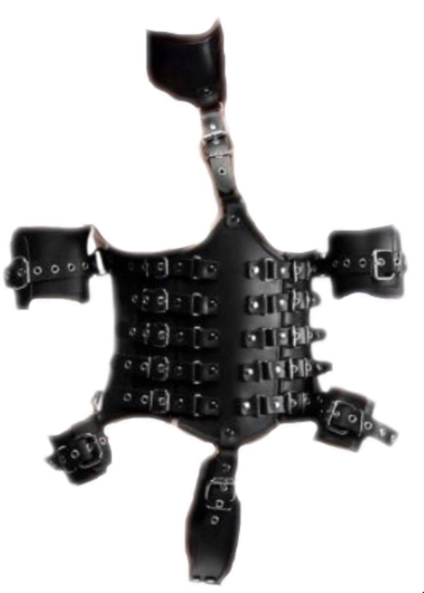 Strict Leather Black Ultimate Lockdown Female Waist Cincher