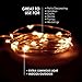 RTGS Products Warm White Colored LED Lights Indoor and Outdoor String Lights, Fairy Lights Battery Powered for Patio, Bedroom, Holiday Decor, etc (Warm White Color 20 LEDs 7 FEET 5 Sets)