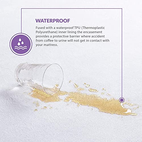 Degrees of Comfort Mattress Encasement King Size Bed Bug Proof Cover