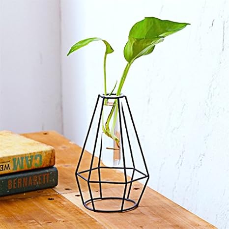Buy Elegantstunning Stylish Transparent Glass Tube Vase With Iron