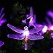 Flacchi Solar Lights,Waterproof Decorative Fairy Lights for Indoor/Outdoor, Patio, Lawn, Garden, Fence, Balcony, Pergola, Bush, Party, Holiday Decorations