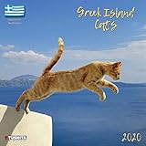 Greek Island Cats 2020 What a Wonderful World: Griechische Inselkatzen by