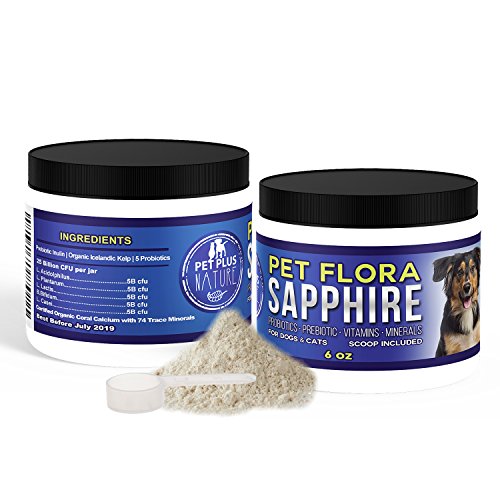 Probiotics for Dogs and Cats Powder All Natural Vitamin Mineral