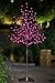Lightshare Lighted Rose Flower Tree