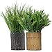 Artificial Plants Fern Fake Shrubs Bushe 11