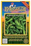 Everwilde Farms - 50 Jalapeno Hot Pepper Seeds