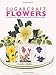 Sugarcraft Flowers: 25 Step-by-Step Projects for Simple Garden Flowers by Claire Webb
