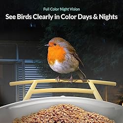 NETVUE Birdfy Lite- Smart Bird Feeder Camera, Bird