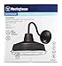 Westinghouse 6204700 Outdoor, 1-Light, Textured Black with Chrome Cage