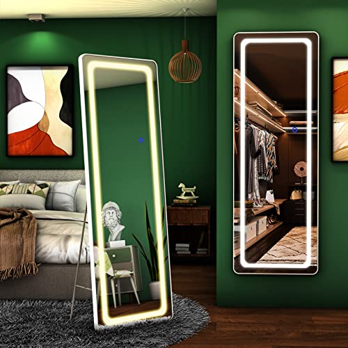 FENNIO Full Length Mirror with Lights 63"x20", LED Full Body Mirror