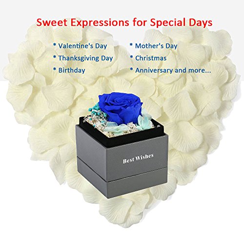 Handmade Preserved Flower Rose - Preserved Fresh Flower Eternity Rose, Never Withered Real Rose, Gift for Valentine's Day, Mother's Day, Thanksgiving Day, Christmas, Birthday, Anniversary (Blue) - Thumbnail 3