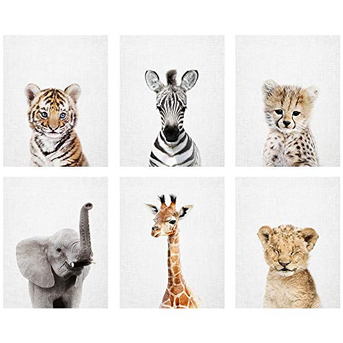 baby animal wall prints