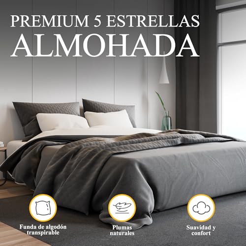 Orange Wave Feather Pillow 40 x 80 cm – Luxury Cushion 40 x 80 cm with Natural Down and Feathers, Soft and Ergonomic Comfort for Pleasant Nights, RDS Certified and Oeko-Tex Certified