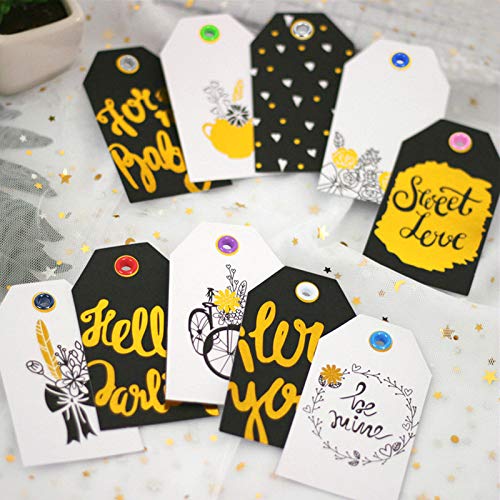 2 Grommet+MEZOOM+Multi+Color+Transparent+Projects