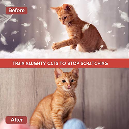 Pets vv Cat Spray for Scratching Cat Scratch Deterrent for Kittens