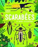 Scarabées et autres coléoptères by 