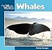 Whales (Our Wild World)