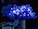 12PCS Battery Operated Blue Lights 20 Micro Fairy String LEDs on Silver Wire,6.5 Ft (2m) for Halloween Party DIY Wedding Home Outdoor Indoor Centerpiece or Table Decorations