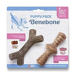 Benebone Puppy 2-Pack Maplestick/Zaggler Durable