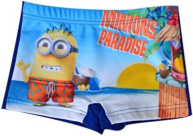 Offical Licensed Disney Boys Cars Avengers Spiderman Star Wars Swim Shorts Age 2-11 Years