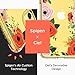 CYRILL Cecile Designed for Apple iPhone 11 Case (2019) Clear | TPU | PC | Bumper | Slim |Plastic - Orange Floral