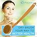 Cristalbox 3 in 1 Best Body Bath Brush, Improves Skin`s Health and Beauty, Great for Cellulite, Exfoliating, and Dry Skin removal, 1 Horse Hair(Hard), 1 Boar Bristles(medium),1 Nanofiber Hair(Soft)