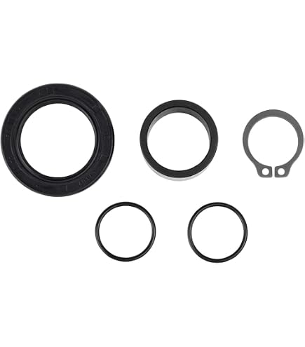Amazon.com: All Balls Racing 25-4017 Countershaft Seal Kit