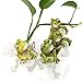ZAILHWK Planter Pot Hanger Decorations, Frog Flower Pot Resin Creative 3D Craft Frog Figurines Climbing Decoration Animal Ornaments for Office Desk Home Garden Pot Decor,4 pcs
