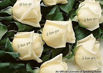 Amazon Com 12 White Roses Embossed With I Love You Garden Outdoor
