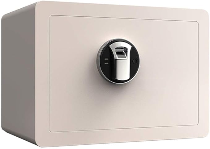 Segura Inteligente De La Huella Digital Segura Mini Acero Antirrobo