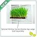 BOGO Window Garden Microgreen Organic Wheatgrass 3 Set Refill – Use with Grow n Serve Kit, Multi-Use 15” x 6” Planter Tray, Pre-Measured Soil + Seed. Easy and Convenient, Sprout 3 Crops of Superfood.