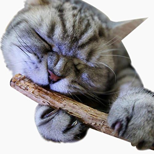 Leoy88 2pcs Pet Cat Kitten Chew Stick Toy Catnip Molar