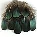 Sowder 50pcs Green Pheasant Plumage Feathers 1.5-3 Inches Home Wedding Decoration