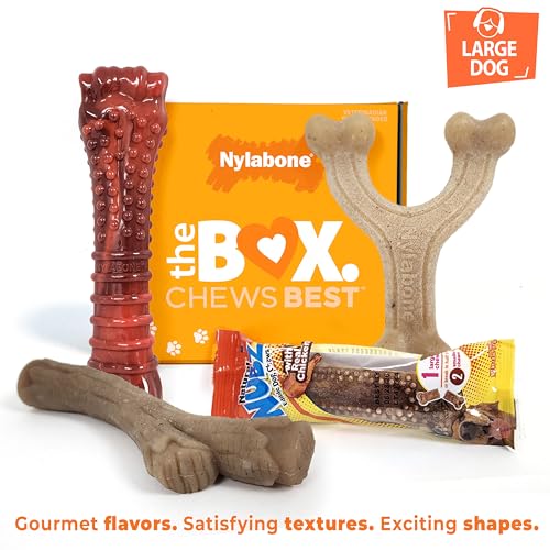 Nylabone Dog Gift Box for Large Dogs 3 Strong Chew Toys and 1 Dog