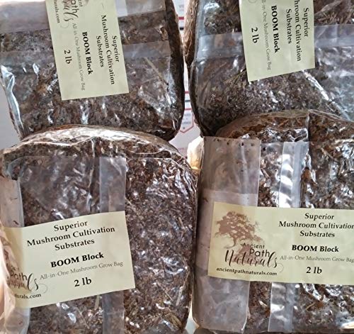 2lb Boom! x2 lb Mixed Substrate All in one Mushroom Grow Bags- Unique Nutrient Mix Substrate Mushroom Grow Bags | Super Easy to Use | High Success Rate | Versatile Use