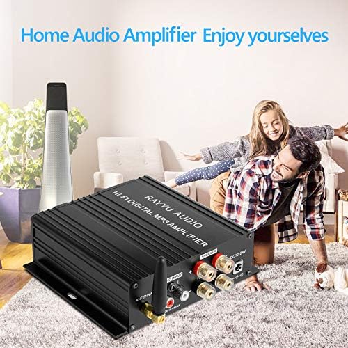 Rayyu Professional Mini Hi-Fi Digital MP3 Amplifier 2x50W Bluetooth 5.0